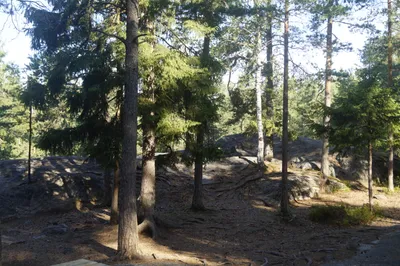 Kalkkiruukki