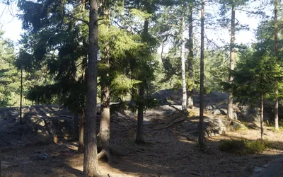 Kalkkiruukki