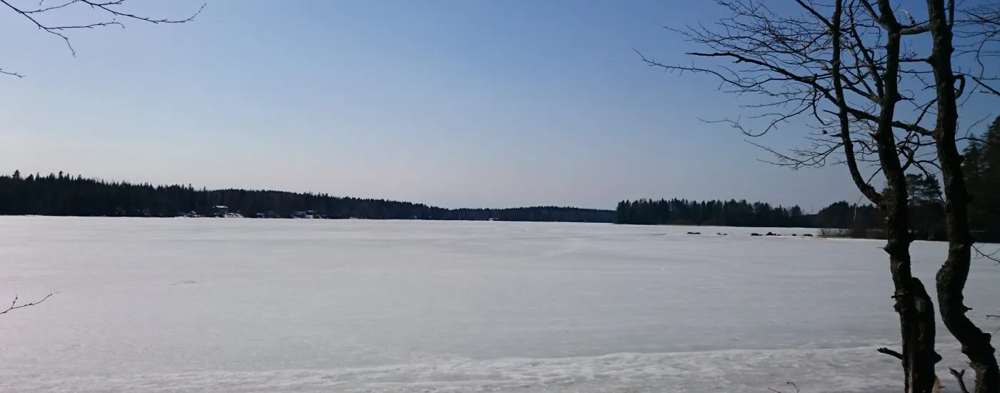 Scenic Finnish Wilderness