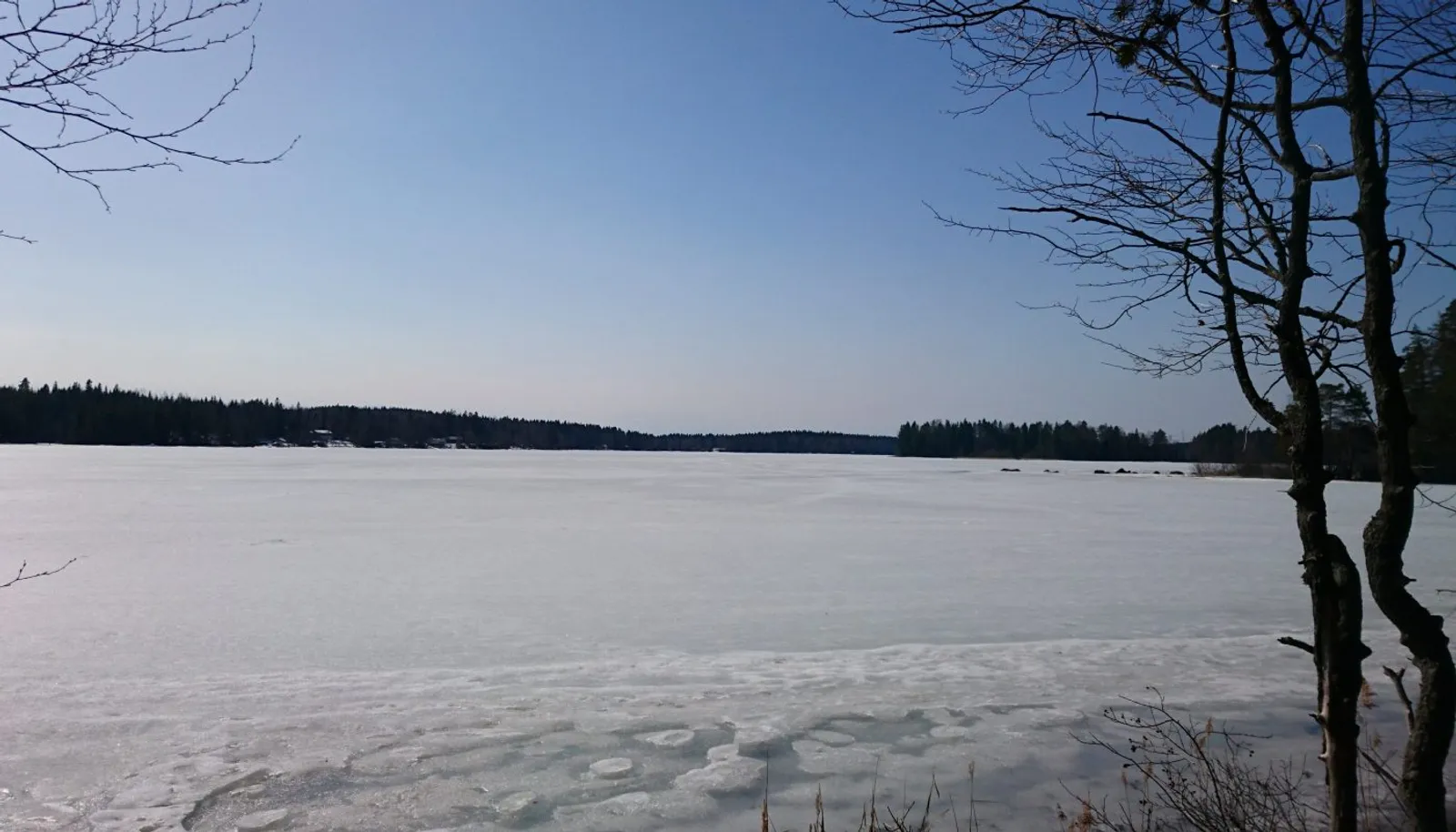 Scenic Finnish Wilderness