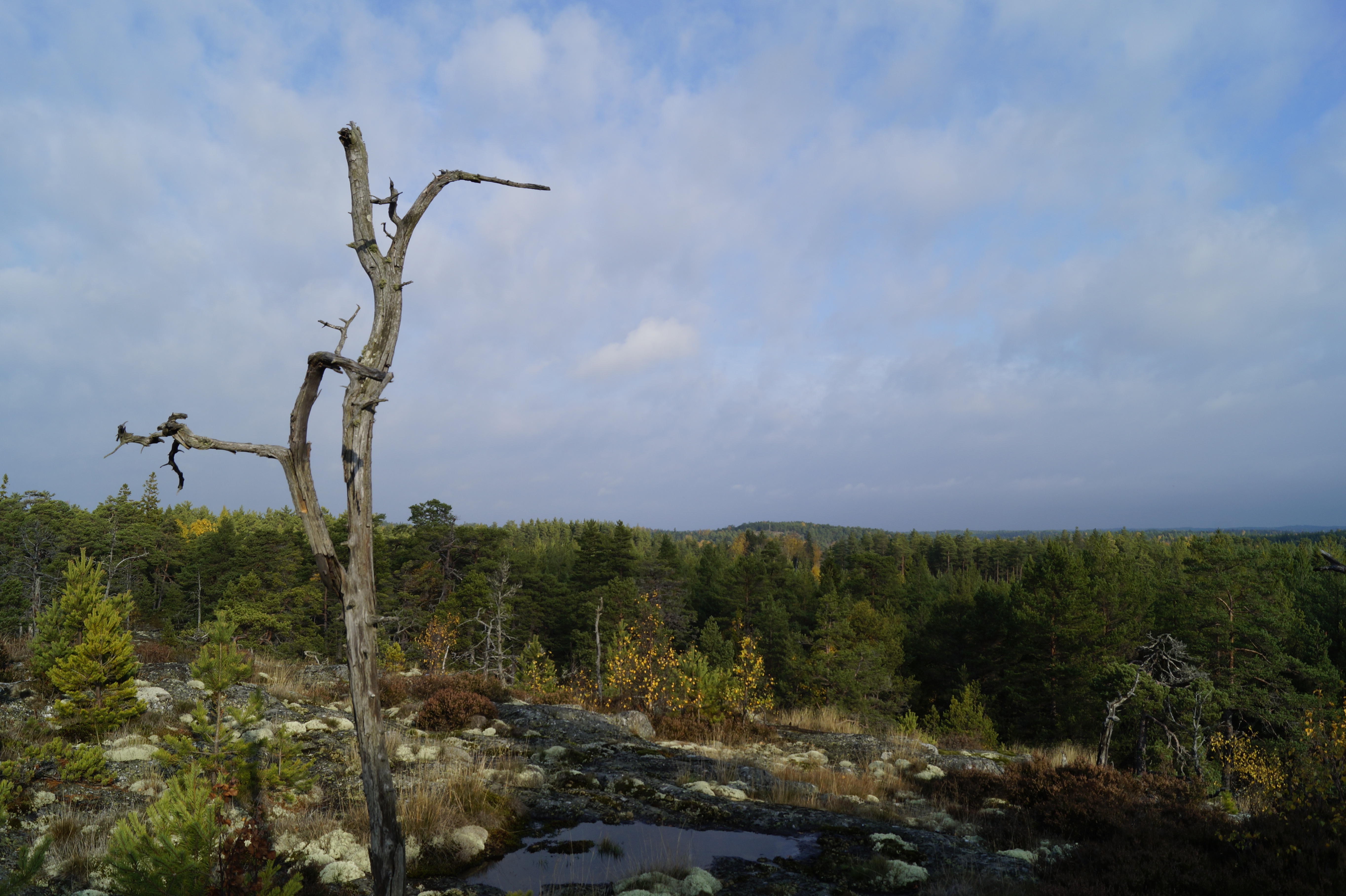Gallery Nature Photograph 10