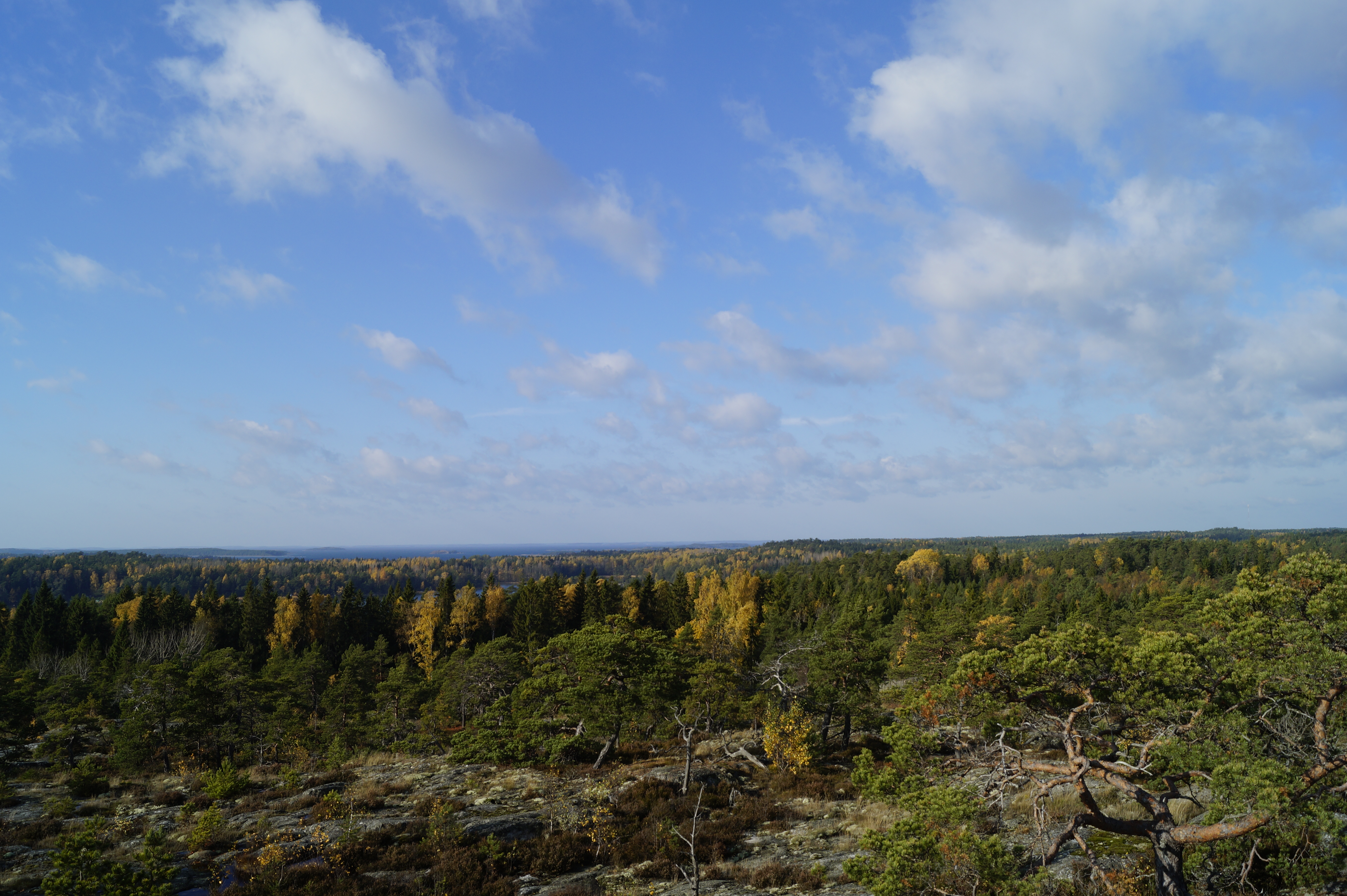 Gallery Nature Photograph 14