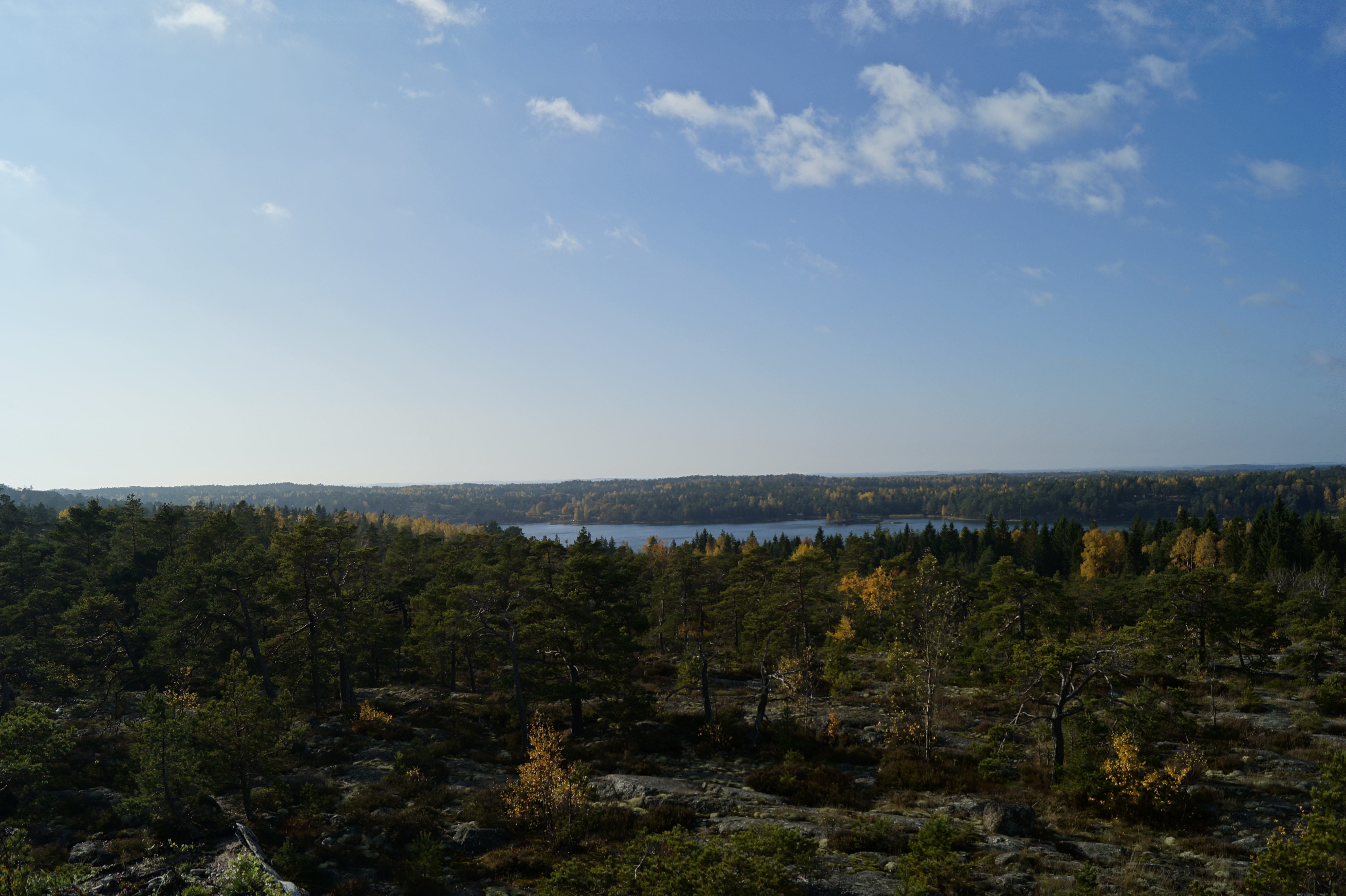 Gallery Nature Photograph 15