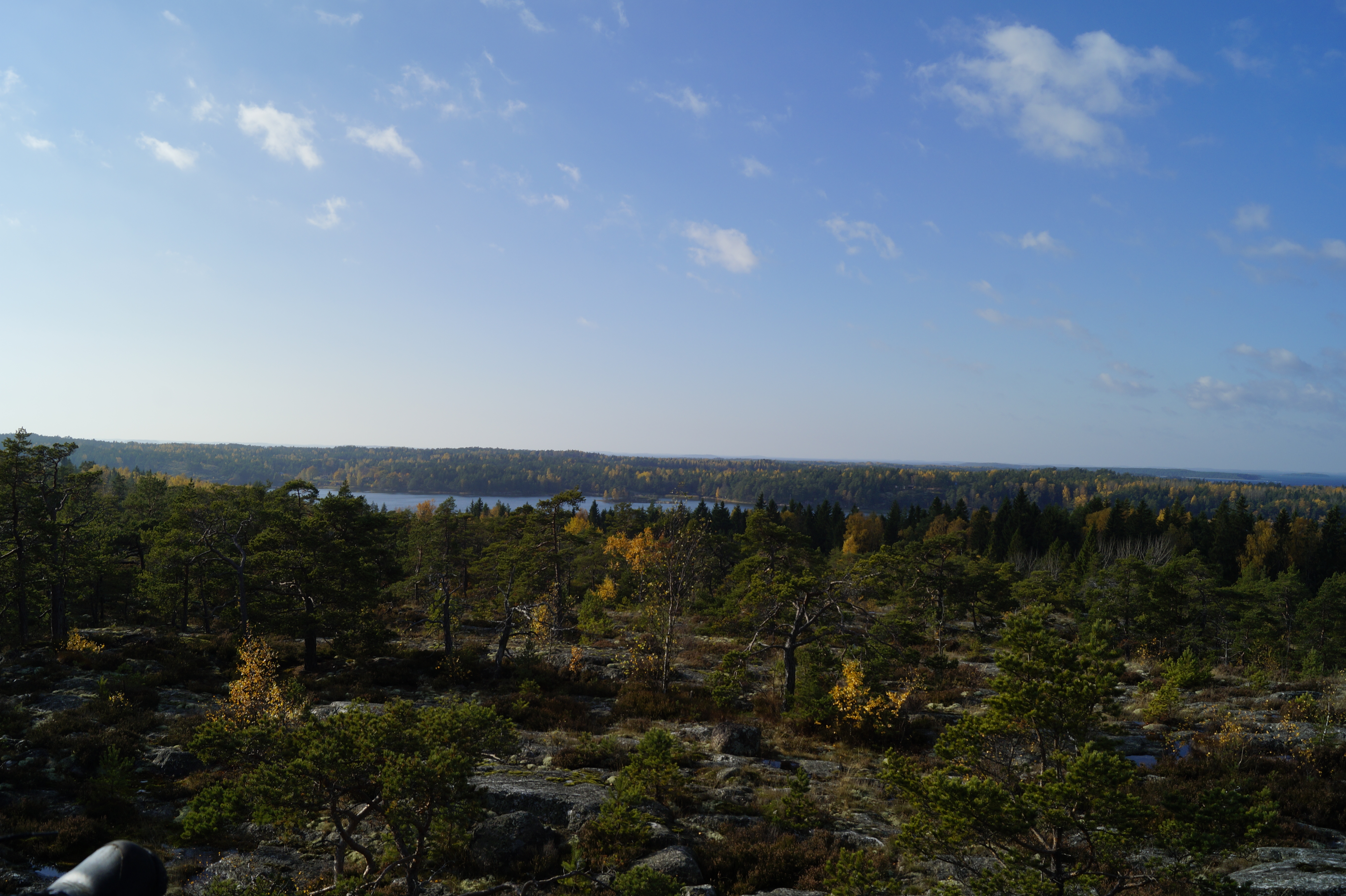Gallery Nature Photograph 19