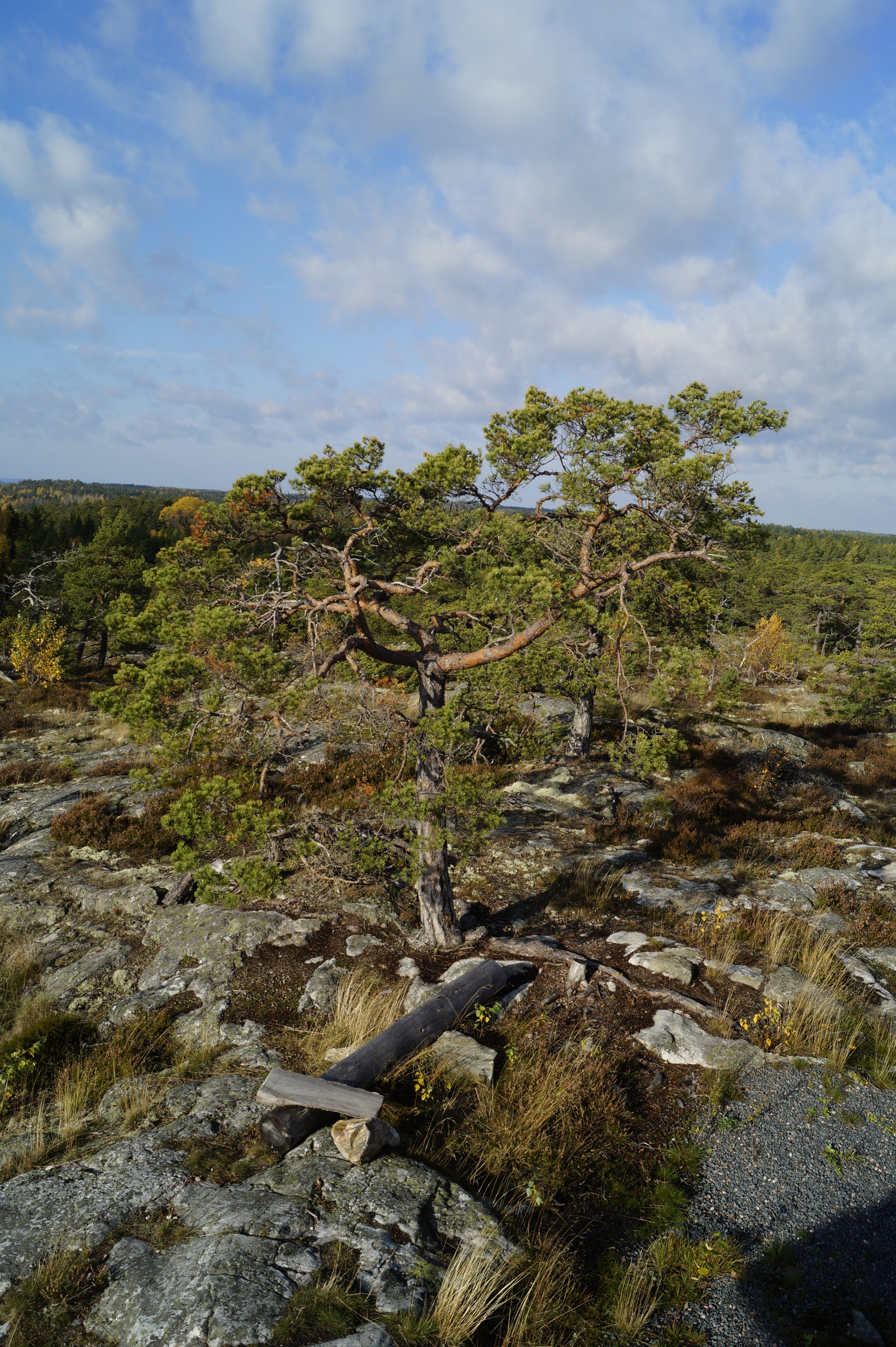 Gallery Nature Photograph 20
