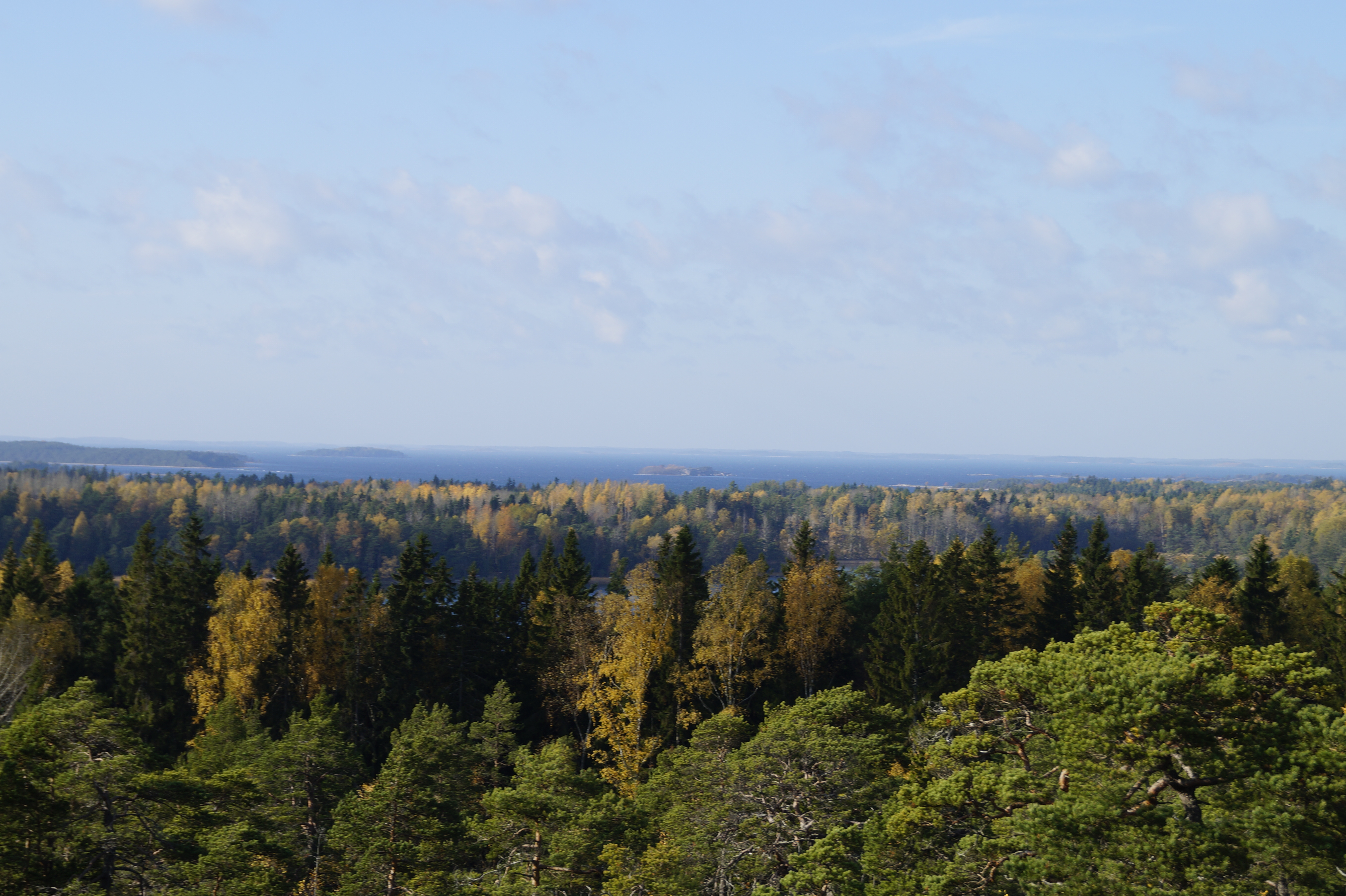 Gallery Nature Photograph 21
