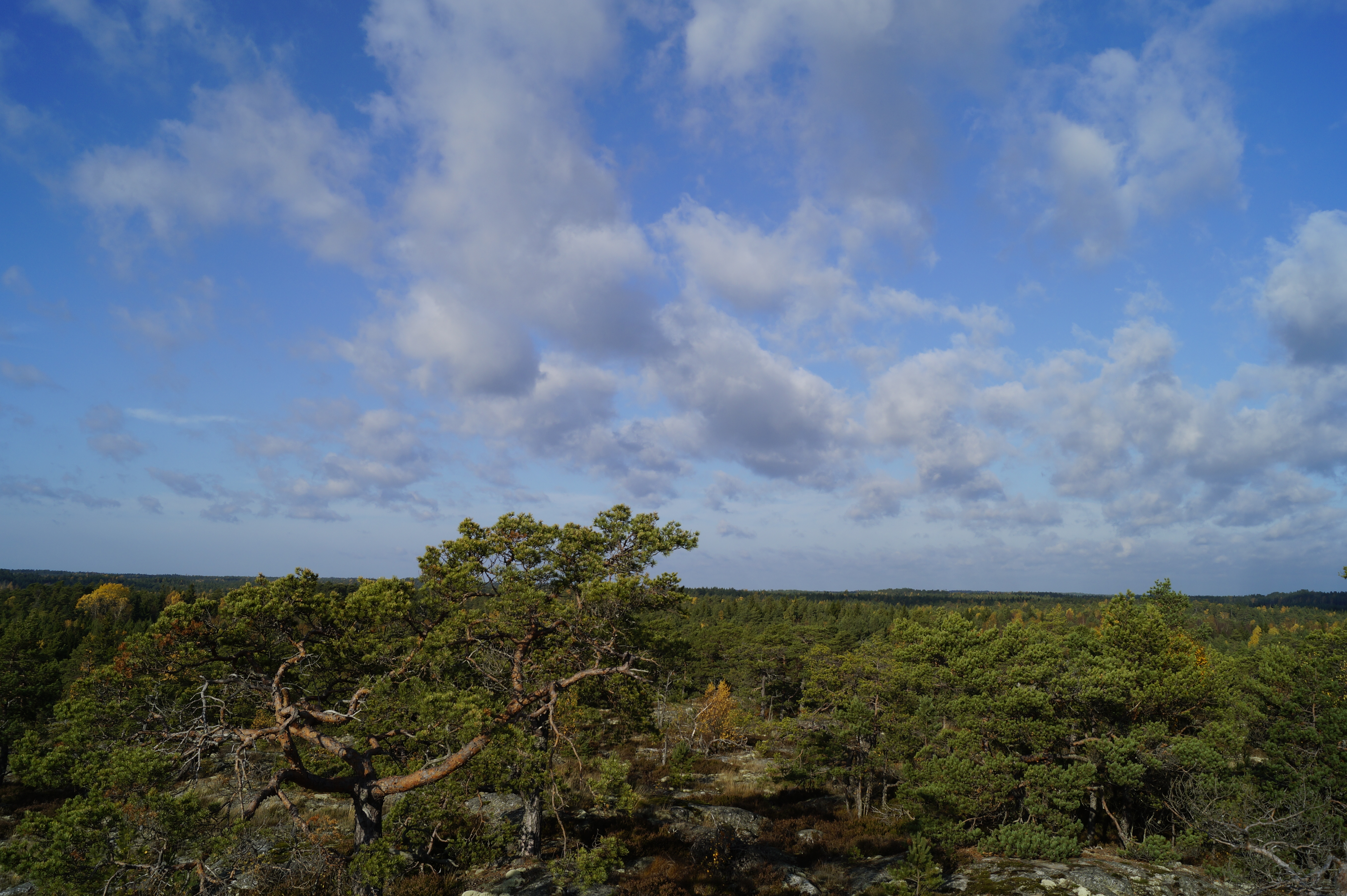 Gallery Nature Photograph 25