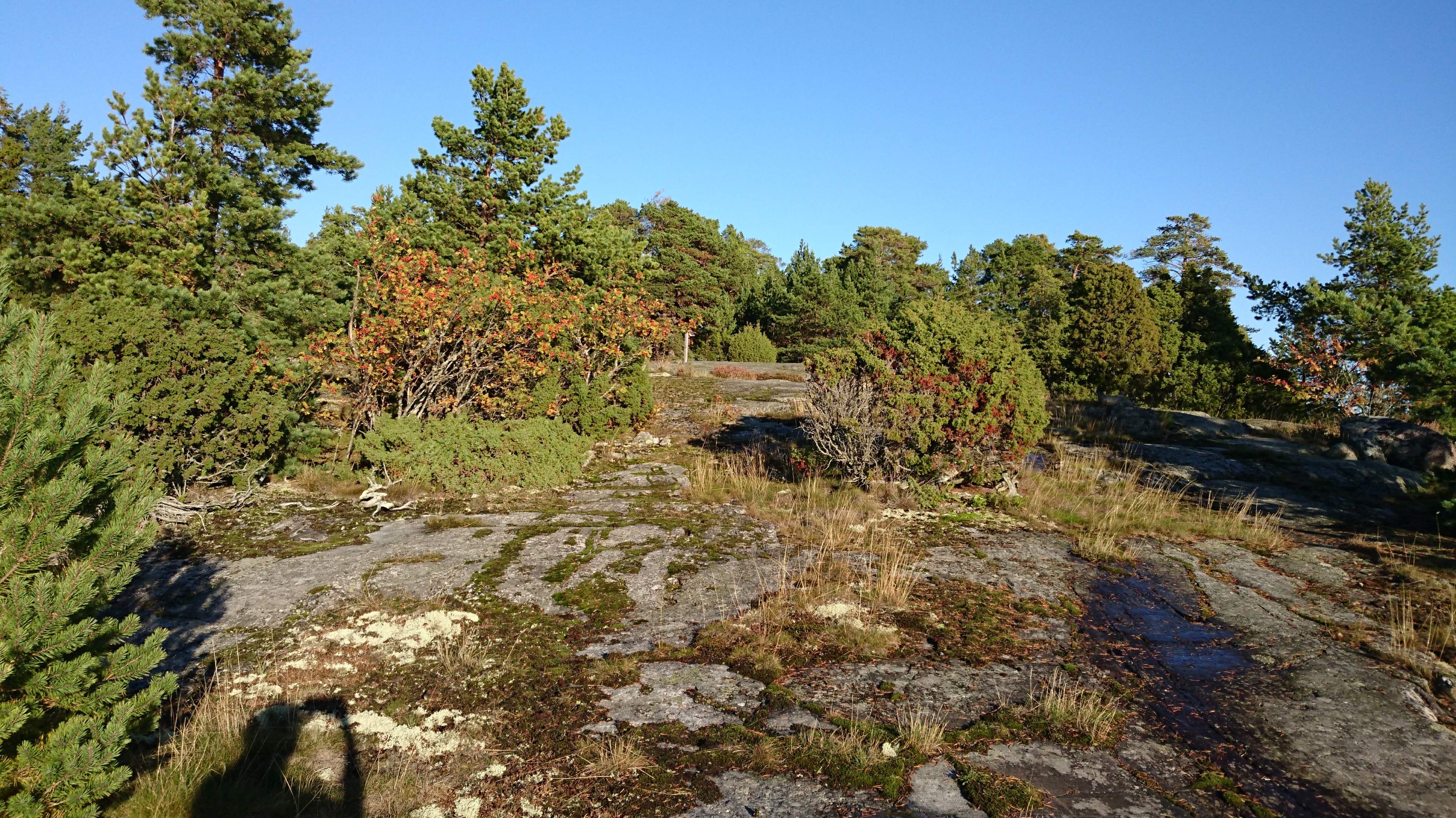 Gallery Nature Photograph 4