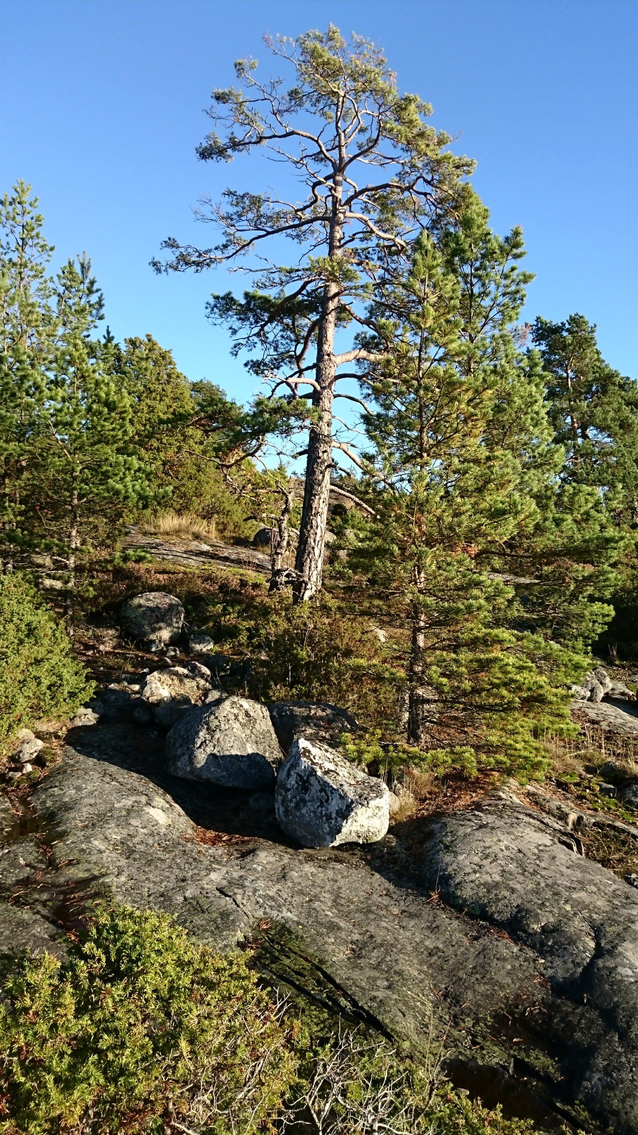 Gallery Nature Photograph 8