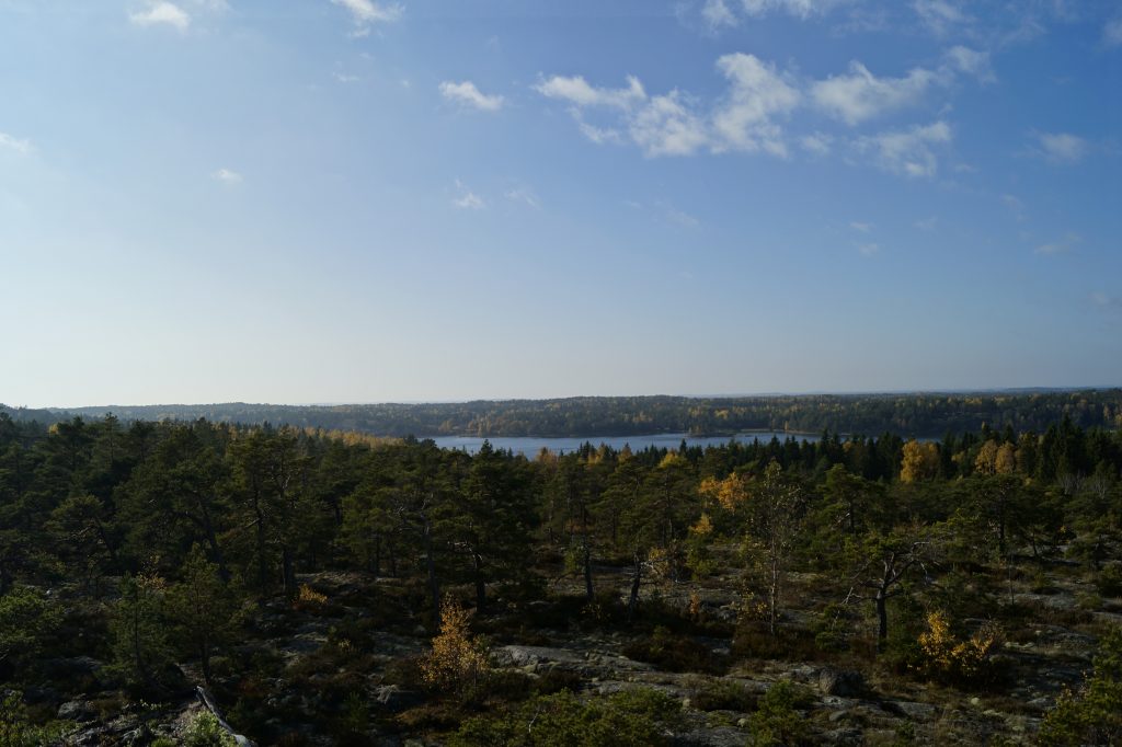 Purunpään Laavu – Finnish Nature