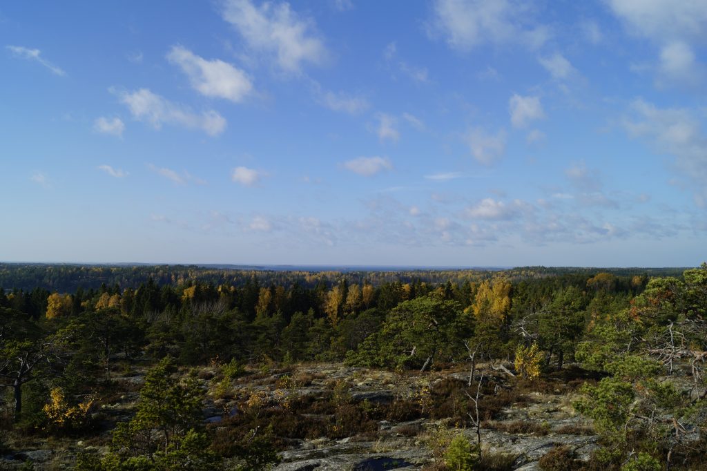 Purunpään Laavu – Finnish Nature