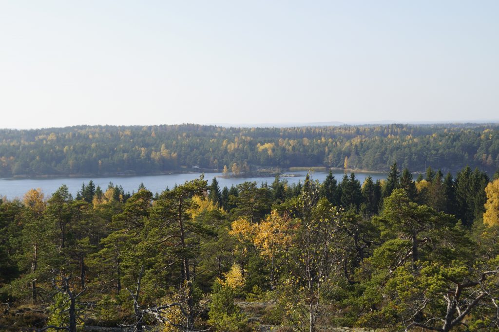 Purunpään Laavu – Finnish Nature
