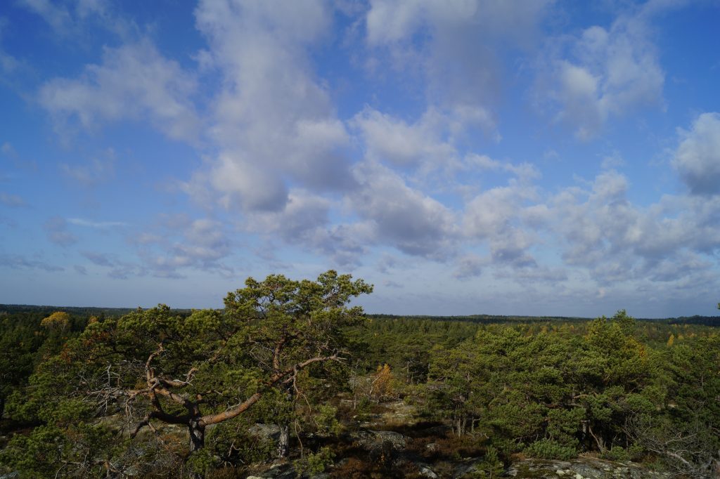 Purunpään Laavu – Finnish Nature