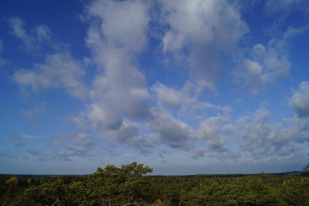Purunpään Laavu – Finnish Nature